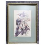 Pileated Woodpecker Reproduction James Audubon