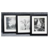 B&W Ansel Adams Photography Prints 3/PC