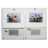 TX Migratory Game Bird Stamp&Print 2/PC