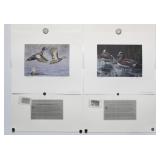 TX Waterfowl-Migratory Game Bird Stamp/Print 2/PC