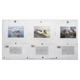 TX Waterfowl-Migratory Game Bird Stamp/Print 3/PC