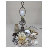 Seashell-Filled Lamp & Assorted Seashells +