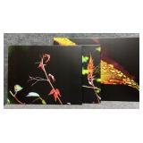 Ben Eaglin Botanical Prints on Canvas 3/pc