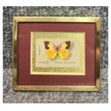 Dogface Colias Eurydice Postage Stamp Framed