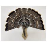 Turkey Fan Wall Plaque