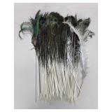 Peacock Feathers / 68 pc