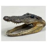 Alligator Head