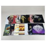 Vinyl Record Albums / 15 pc