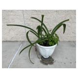 Resin Planter w/ Potted Plant