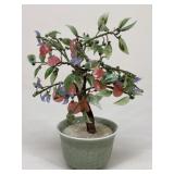 Jade Bonsai Tree