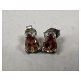Sterling Silver Earrings w/ Stone