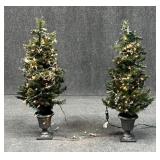 Pair of Lighted Christmas Trees