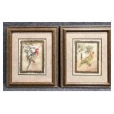 2/PC Tropical Bird Prints