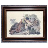 Audubon Ruffed Grouse Print