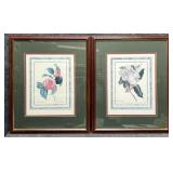 Botanical Prints 2/PC