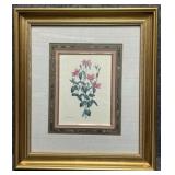 Botanical Print