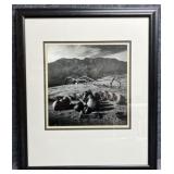 "Sunning" B/W Photography Signed E.B Sayles 