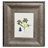 Botanical Print by Patricia Halley