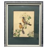 Vintage "Robin and Apple Blossoms" Print