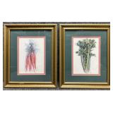 2/PC "Carrots & Celery" Print by Julia Grainer