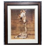 Giraffe First Kiss Photography Print Ron D'Raine