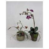 Artificial Arrangements / 2 pc