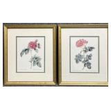 2/PC Rose Prints by Pierre Joseph Redoute
