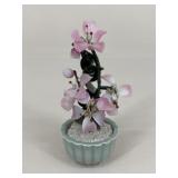 Jade Bonsai Tree