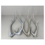 Large Antlers / 4 pc