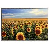 Sunflower Photography Print on Canvas