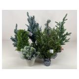 Artificial Pine Trees w/ Colored Bases / 9 pc