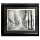 "Tree Parade" B&W Print by Chip Forelli