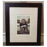 Framed & Matted Pair of Elephants