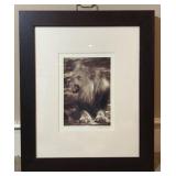 Framed & Matted Art Of Lion Roaring