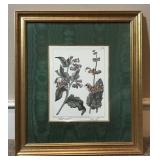 Doube Matted Print by Syd Edwards