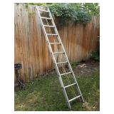 Werner Ladder