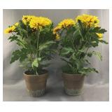 Pair of Floral Arrangements