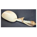 Sea Shell Spoon
