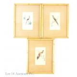 Three Vintage Feathercraft Bird Portraits