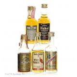 Various Vintages Whiskey Mini Bottles (5)