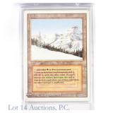 MTG Revised Edition Taiga, Dual Land Card