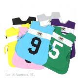 Arlington Park Racecourse Handlers Bibs (9)