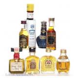 Various Vintage Whiskey Minis & Bitters (7+1)
