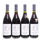 2015 Humberto Canale Denario Pinot Noir (4)