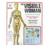 The Visible Woman (Assembly Kit)