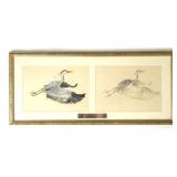 Blue Heron Sketch & Drawing