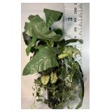 Beautiful artificial flower arrangement