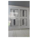 Framed Feather Shadow Box Wall Art
