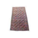 Beluch rug