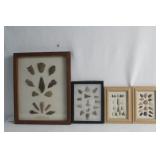 Native American Arrow Points